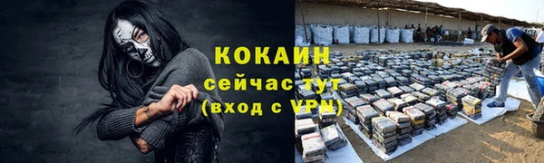 стаф Михайлов
