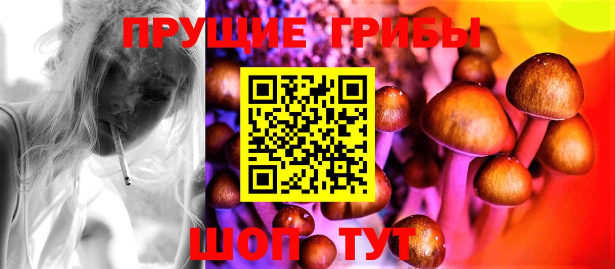 Псилоцибиновые грибы GOLDEN TEACHER  Вход с VPN  Кизилюрт 